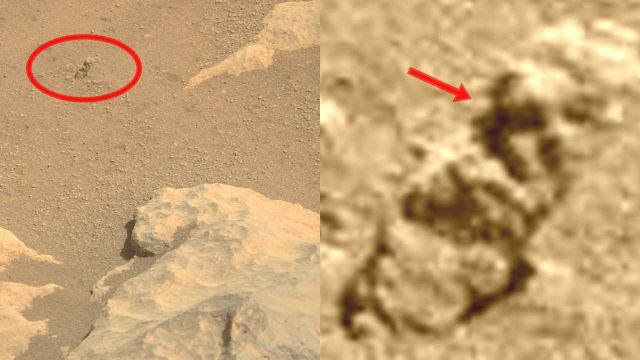 最新版「火星の人面」が発見&更新される! 超衝撃写真をNASAが撮影成功、全面核戦争の犠牲者か… やはり火星文明はあった!の画像1