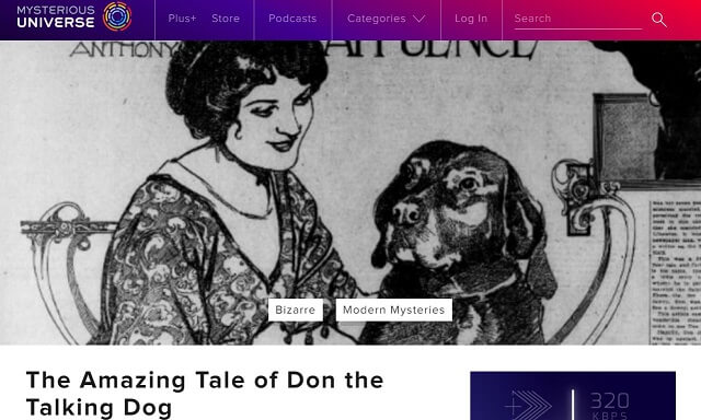 人間の言語をガチで話した犬「ドン」の実話が凄すぎる! ある日突然ペラペラ… 欧米が大熱狂したセレブ犬の最期の言葉とは!?の画像1