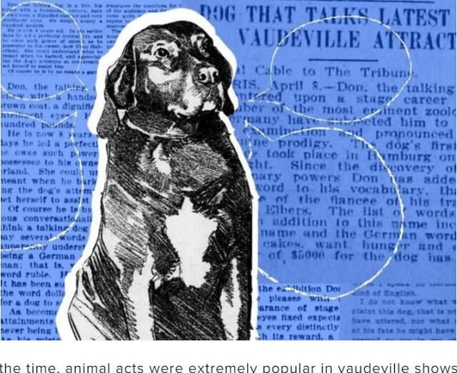 人間の言語をガチで話した犬「ドン」の実話が凄すぎる! ある日突然ペラペラ… 欧米が大熱狂したセレブ犬の最期の言葉とは!?の画像2