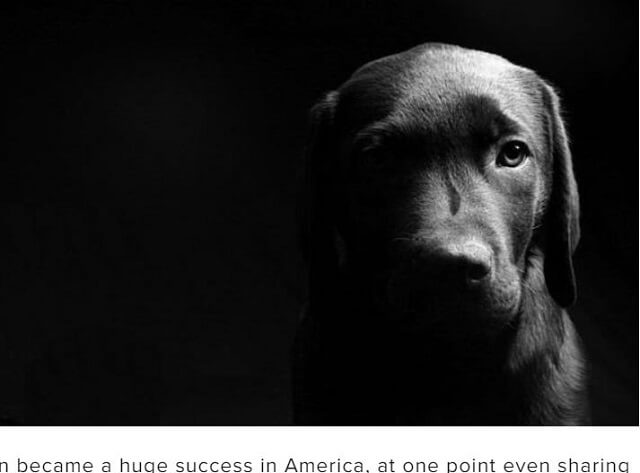 人間の言語をガチで話した犬「ドン」の実話が凄すぎる！ ある日突然ペラペラ… 欧米が大熱狂したセレブ犬の最期の言葉とは!?の画像3