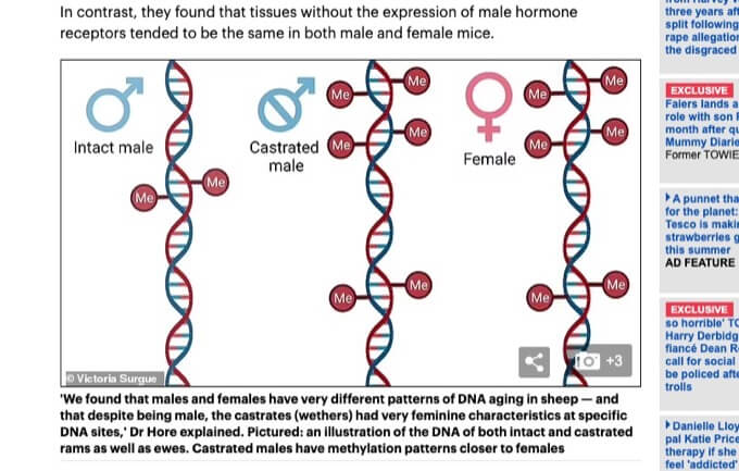 金玉を取れば男は長生きできると判明! DNAに驚愕変化… 最新研究で発覚の画像2