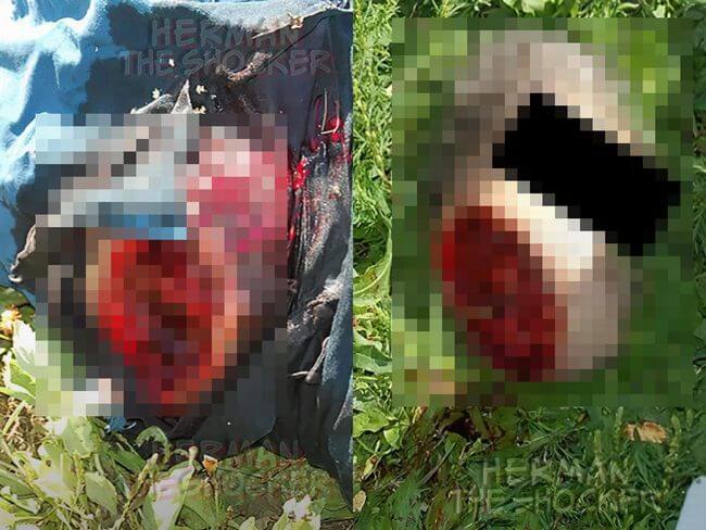 【超・閲覧注意】電動薪割り機で「5.5秒でセルフ斬首」した男! 希死念慮に囚われ… 壮絶すぎる死に様に戦慄!の画像1