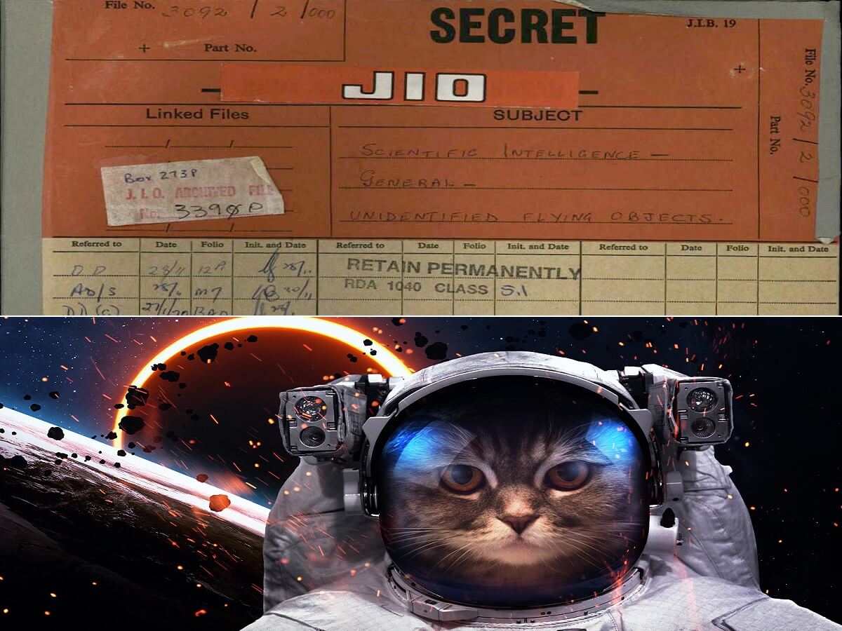 猫型宇宙人がマッシュルームUFOに乗って…！ 機密解除されたオーストラリア政府の「公式UFOレポート」が謎すぎる！ｰオカルトニュースメディア トカナ