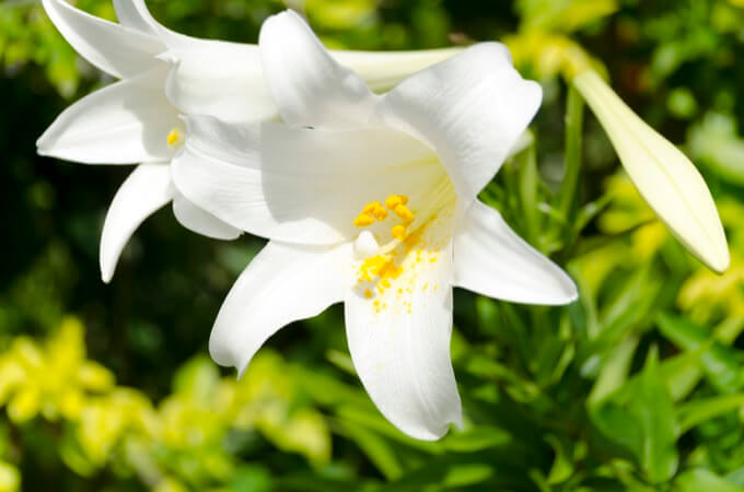 植物状態の女性を霊視してわかった衝撃のメッセージとは? 人は自ら死期を選ぶのかの画像2