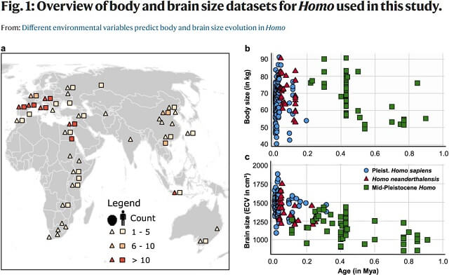 「地球温暖化で人類の身体は小さくなる」最新研究で判明! 脳にも深刻な影響、グレイ=未来人説に信憑性の画像2