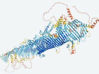 タンパク質のフォールディング問題も解決！ 「バイオ研究のすべてが変わる研究」学者が全期待を寄せるAIシステムとは？