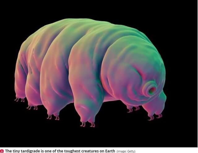 宇宙移住のため「人類クマムシ化計画」始動! 学者が遺伝子統合成功、ハンパない放射線耐性を確認!(最新研究)の画像1