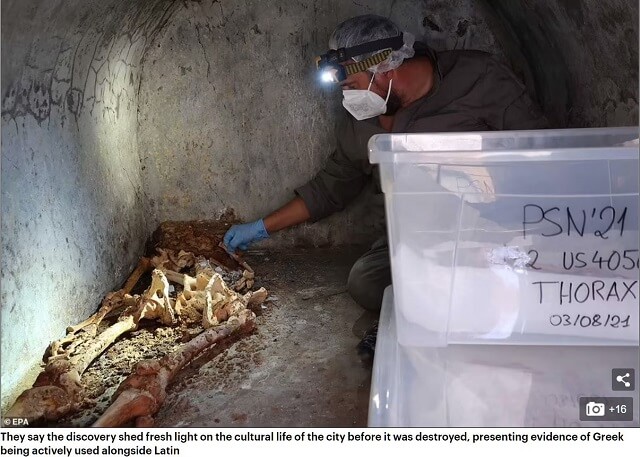 ポンペイで耳と毛髪つきの「半ミイラ」出土! 2000年前の激ヤバ死体から判明した衝撃史実と正体とは!?の画像3
