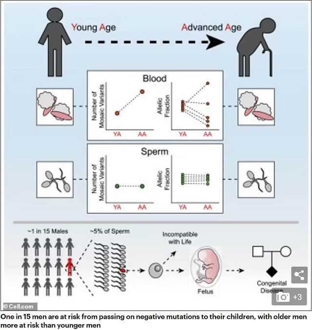 高齢男性の精子で生まれた子どもに深刻な健康リスク発覚! 羊水が腐ると揶揄された女性の高齢出産だけじゃない、突然変異が受け継がれ…の画像2