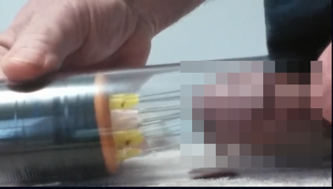 【閲覧注意】無数の針をペニスに突き刺すオナニーが変態すぎる! 亀頭の出血とこみ上げる快感、ハアハア声が…の画像1
