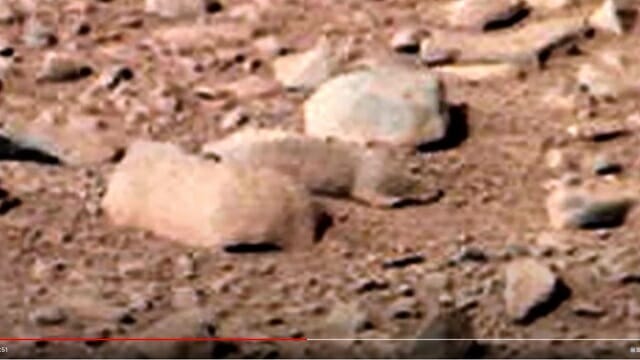 【衝撃】火星に生息するネズミをNASA最新鋭探査機が激撮!! 画期的成果が続々、やはり火星には生命がいる!の画像2