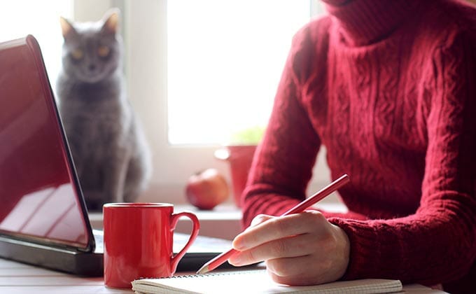 「世界中の飼い猫が命の危機にある」恐ろしい原因とは!? 予期せぬ症状が次々… 獣医が緊急警告!の画像2