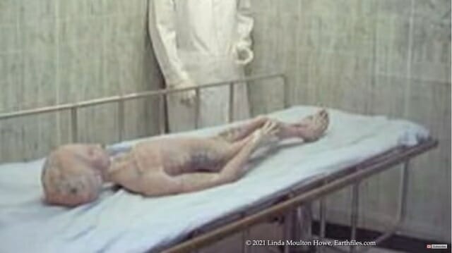 「沖縄で極秘UFO宇宙人ファイルを見た」元米海軍人告白 4枚のエイリアン写真…の画像3