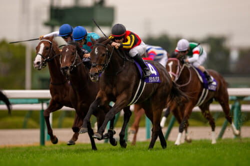 【スプリンターズS】レジェンド級の競馬関係者がとっておき万馬券情報暴露! ダノンスマッシュに危険信号か!?の画像2