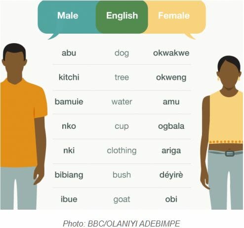 男女で異なる言語を話すナイジェリアの村「ウバン」の謎 音も文字も単語も別…一体なぜ?の画像2