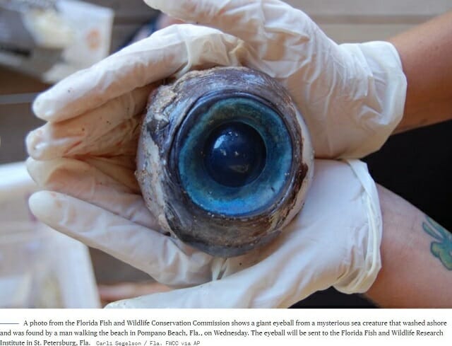 海底で発見された奇妙なもの8選! 巨大眼球、大量死体、失われた村まで…!の画像1