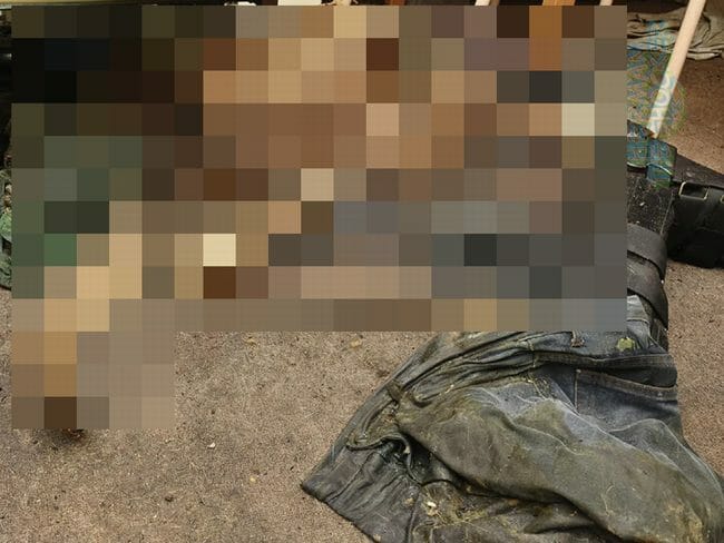 【閲覧注意】孤独死から2カ月、「飼い犬に食い尽くされた」中年男の死体が悲惨すぎる! 1人と1匹の絶望的最期とは!?の画像1