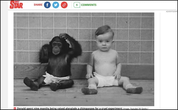 チンパンジーと人間の赤ん坊を「兄妹として」一緒に育てたら何が起きた!? 本当にあった悪魔的実験の残酷すぎる結末の画像1