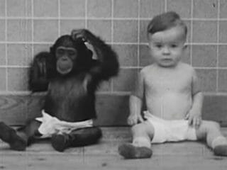 チンパンジーと人間の赤ん坊を「兄妹として」一緒に育てたら何が起きた!? 本当にあった悪魔的実験の残酷すぎる結末
