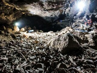 “無数の骨”で埋め尽くされた謎の洞窟がサウジアラビアで発見される！ 「狩られた人間」の恐れも浮上