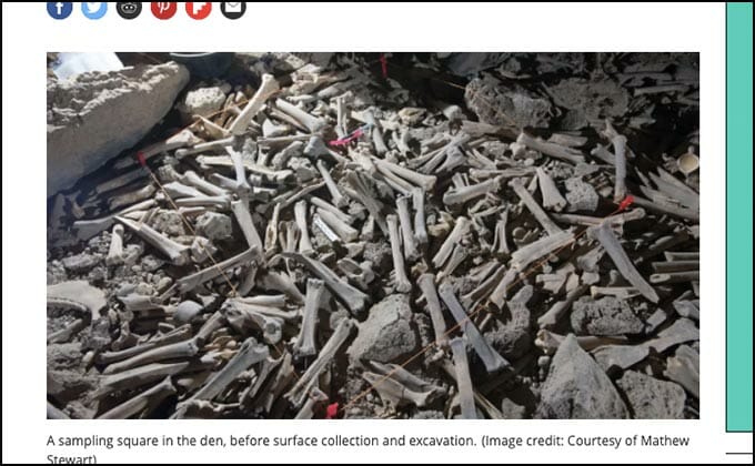 無数の骨で埋め尽くされた謎の洞窟がサウジアラビアで発見される! 「狩られた人間」の恐れも浮上の画像2
