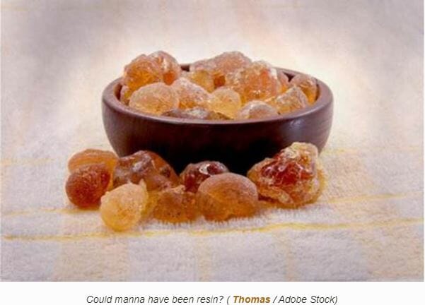 世界で最もミステリアスな食物「マナ」とは? 空から降る天使のパンの謎の画像3