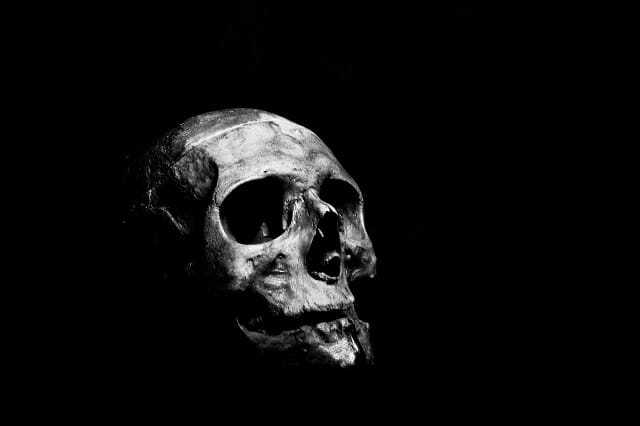 科学で判明した「死のニオイ」プトレシンとは!? 死臭を嗅ぐと○○な気持ちになることも!の画像1