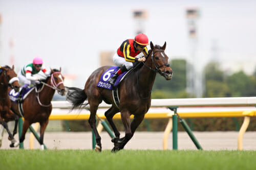 JRA天皇賞・秋(G1)の超極秘穴馬情報流出! 史上初の衆院選と同日開催でキーワードは「49」か!?の画像2