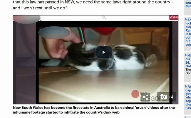 虐待 動物を踏み潰す フェチ映像が世界で蔓延中 非道な クラッシュ動画 氾濫の現実とどう向き合うか ｰトカナ 2ページ目