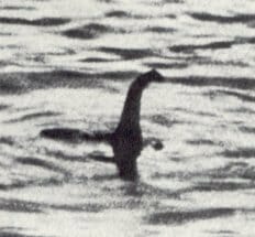 未確認生物とは? ネッシーやチュパカブラなどの未確認生物の種類を写真付きで紹介の画像2