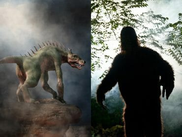未確認生物の検索結果 Tocana