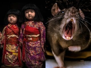 【実録】「捨てても戻る人形」の恐怖と真実！東大阪に棲息する巨大ネズミ、取り壊せないアパート…大阪怪異！