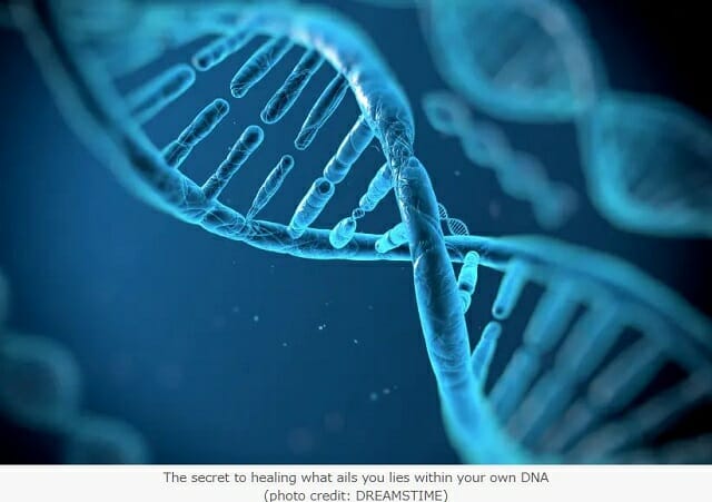 人間と猿の脳を分けるDNA特定? 宇宙人が我々に施したDNA操作が判明か!の画像1