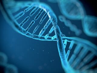 人間と猿の脳を分けるDNA特定？ 宇宙人が我々に施したDNA操作が判明か！