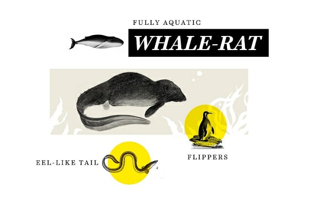 100万年後の地球上で繁栄する生物の姿を予想! 肉食鳩、クジラネズミ、犬サイズのカマキリ!の画像3