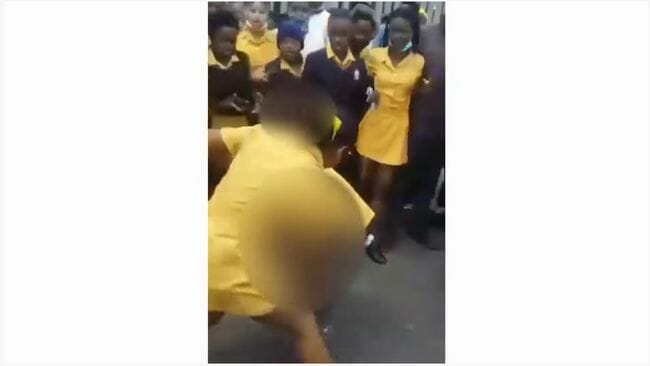 15歳女子高生への超壮絶いじめ動画が拡散! 地域と警察が学校に介入する南アのいじめ対策の画像3