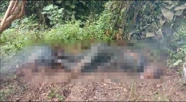 インド国防参謀長がヘリコプター墜落で死亡！ 悲惨な事故現場を撮影した動画が流出の画像5