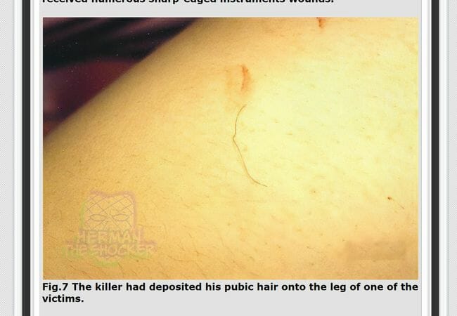 【閲覧注意】美しい母娘を犯して惨殺「狼男」の凶悪すぎる正体とは!? 膣から胸まで切り裂いて血を飲み…!の画像3