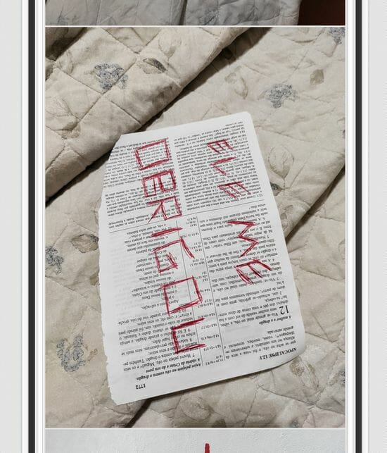 22歳の息子が両親を惨殺した「世界一怖い事故物件」画像が流出! 逆十字・666・破れた聖書… 悪魔憑きか!?=ブラジルの画像3