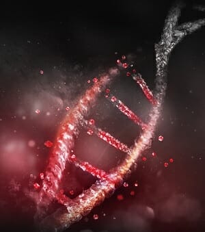 ダーウィンの進化論は間違っていた!! 遺伝子の突然変異がランダムとは限らない初証拠(最速ニュース)の画像1