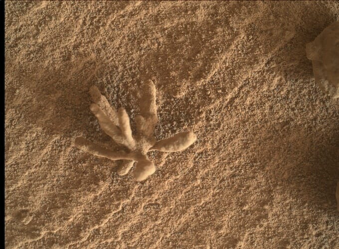 火星でサンゴとしか思えない謎の物体を発見! 生命存在の決定的証拠か、NASAの見解は?(最速ニュース)の画像1