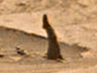 火星の地表に“人間の脚”が突き刺さっていた!? 異様な発見に研究者も大困惑