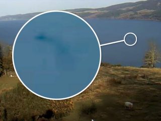 今年初のUMAネッシー“公式目撃映像”が本気で凄い！ 水中で暴れる巨大な影に世界が衝撃（最速ニュース）