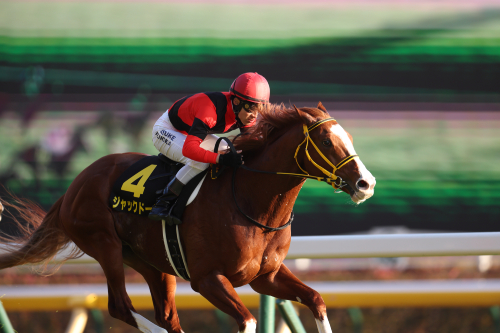 「西高東低の法則」で万馬券を当てまくる謎のプロ集団に取材! JRA大阪杯(G1)の極秘予想も特別公開!の画像2