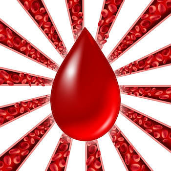 日本人が血液型性格診断を信じてしまう本当の理由とは？ 世界から「クレイジー」と言われても…！の画像3
