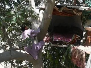 8年間ずっと木の上で暮らしている男が凄い！ 街路樹に登るしかなかった悲しい理由とは!?＝パキスタン