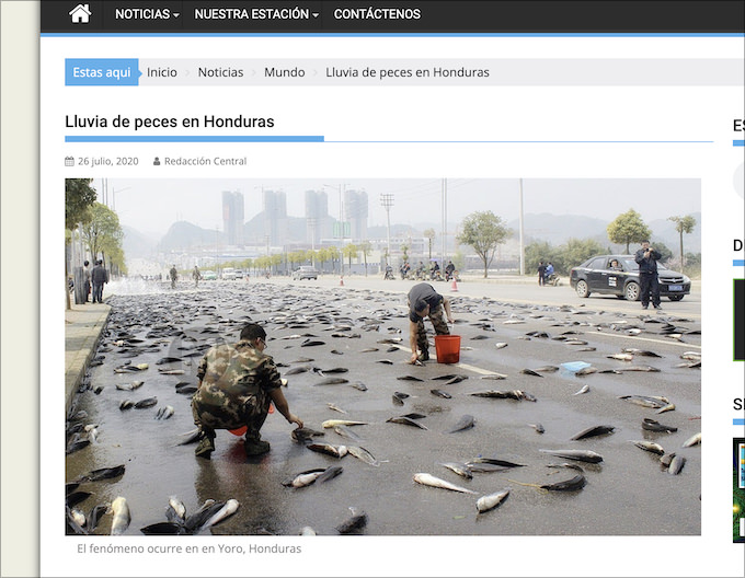 世界で唯一、毎年必ず魚の雨が降る街の謎! 宣教師が祈ると… 「ファフロツキーズ現象」最も奇妙な事例の画像1