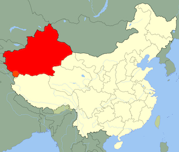 ウクライナ戦争の影で中国によるウイグル人弾圧が激化! 世界が見殺しにする残虐非道の実態の画像2