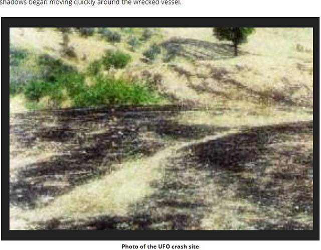UFOが墜落・炎上・消失したギリシャ版ロズウェル「メガプラタノス事件」とは!? 闇に葬られた32年前の衝撃の画像2