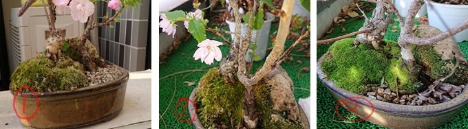 5月病を吹き飛ばす最先端波動アイテムを徹底取材! 自宅をパワースポット化で奇跡連発、原子を調整する若返りペンダント…!の画像4